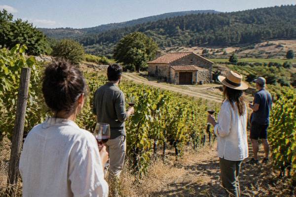 Thracia Valley Wine Tasting Day, Plovdiv
