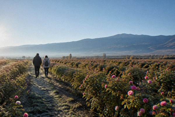 Kazanlak Rose Valley, Private Trip, Plovdiv