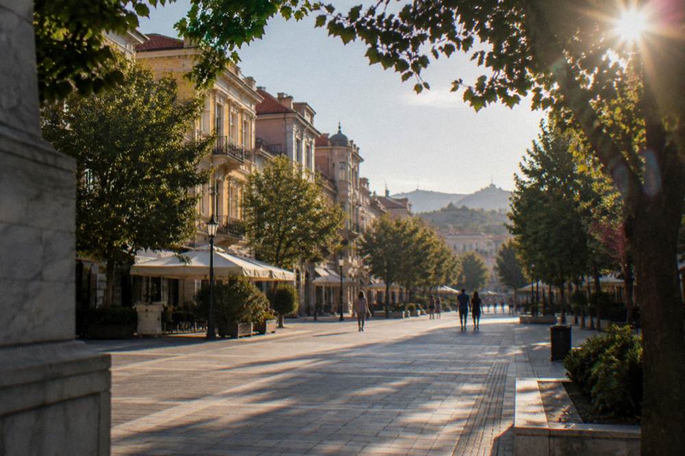 Wide pedestrian main street with trees and low buildings