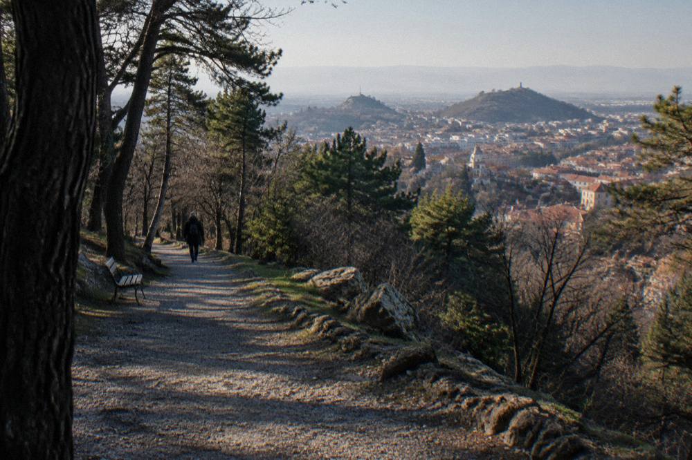 A tree-lined gravel path climbing a green hill in a Balkan city