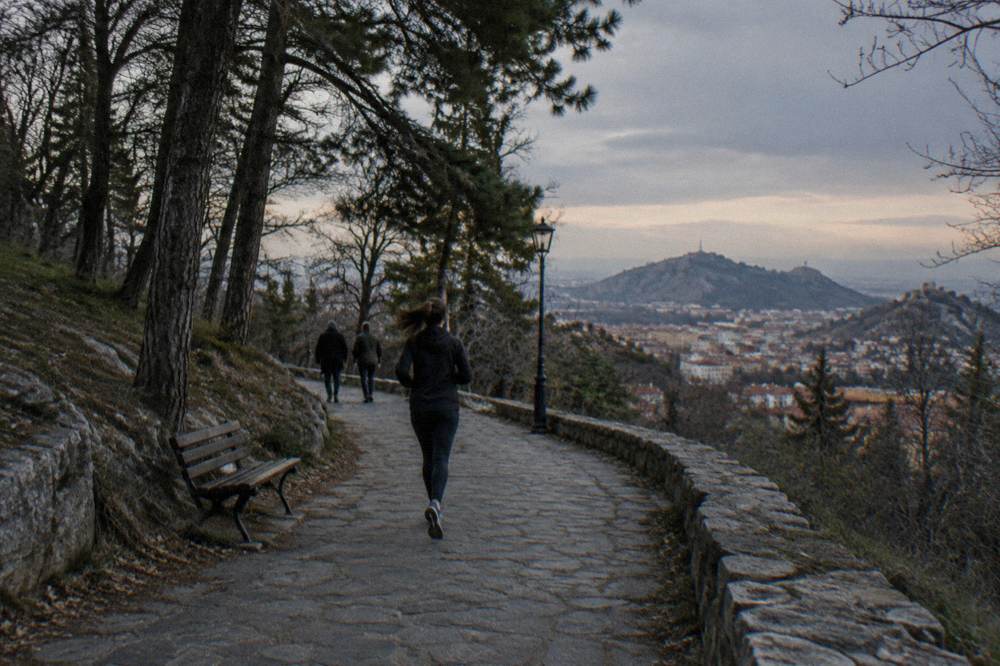 A city park path on a hilltop with old trees and people strolling at dusk