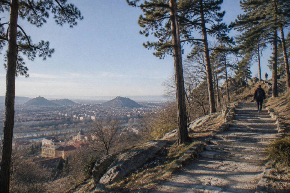 Old stone steps rising through trees toward a hilltop in a European city