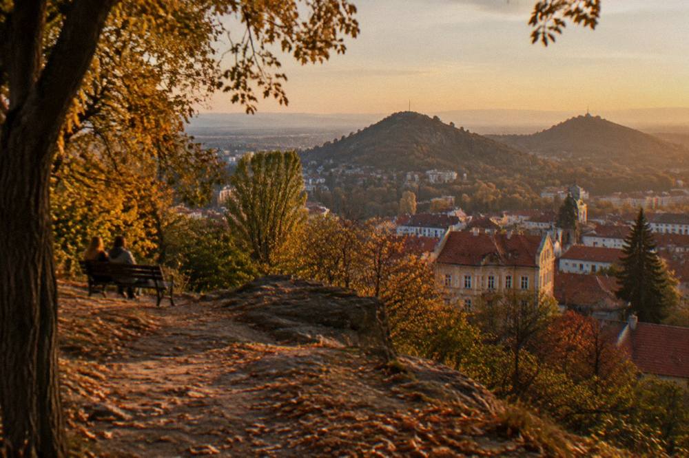 Autumn trees on a city hill with fallen leaves on the path and a view of rooftops
