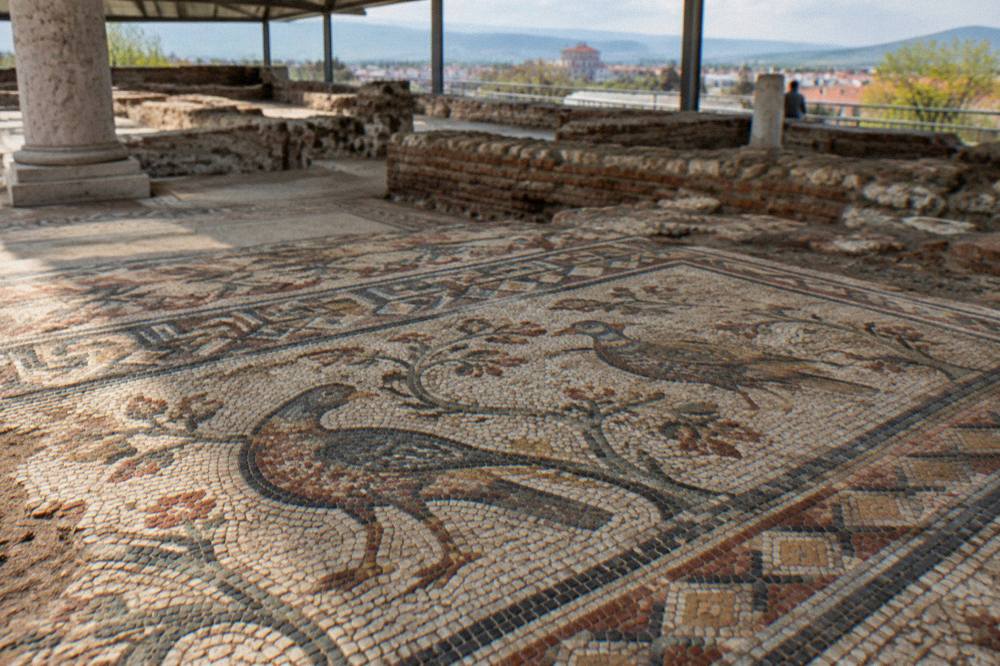 Close view of mosaic tesserae showing birds and geometric border patterns on the basilica floor