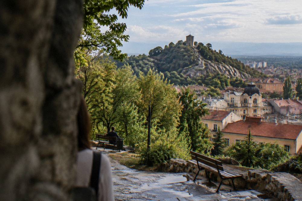 Trees and park benches on the slopes of a city hill with rooftops below