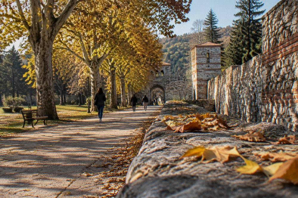Tree-lined park path beside an old stone wall in soft autumn light