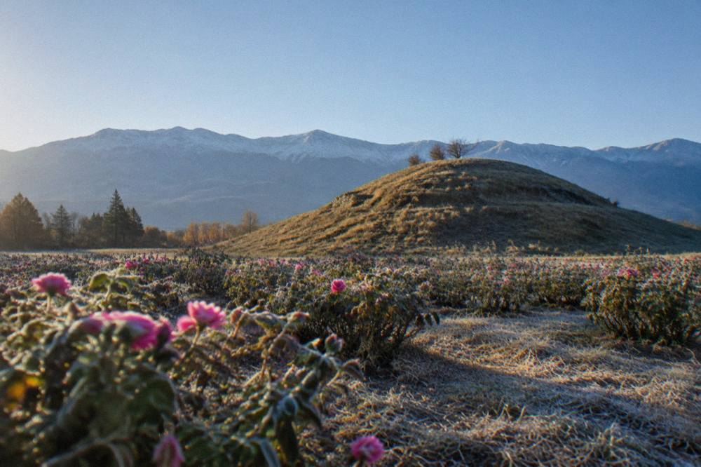 A grass-covered Thracian burial mound standing in an open field under a wide sky