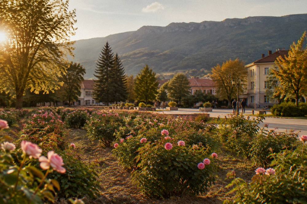 A small Bulgarian town square with trees and low buildings in the late afternoon