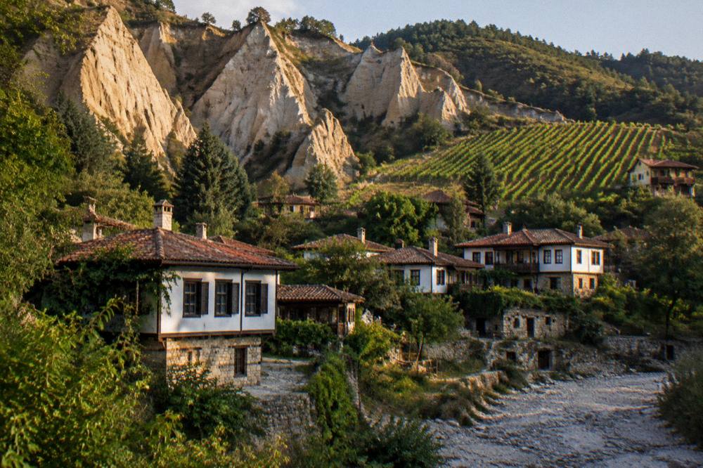 Rows of grapevines on a hillside above Melnik in warm late afternoon light