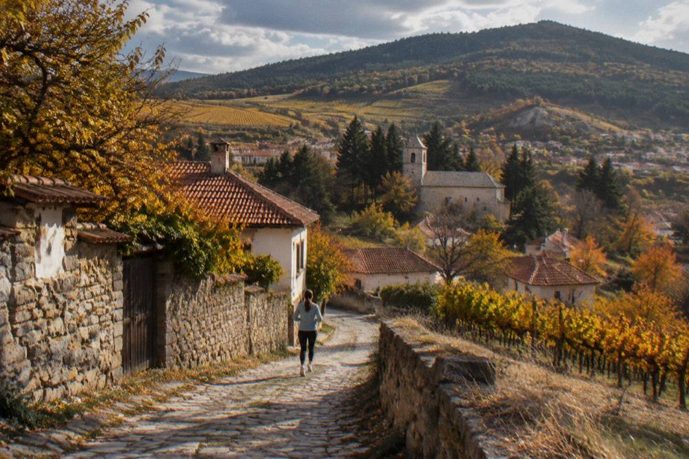 Vineyard rows on hillsides turning golden in autumn light with a village beyond