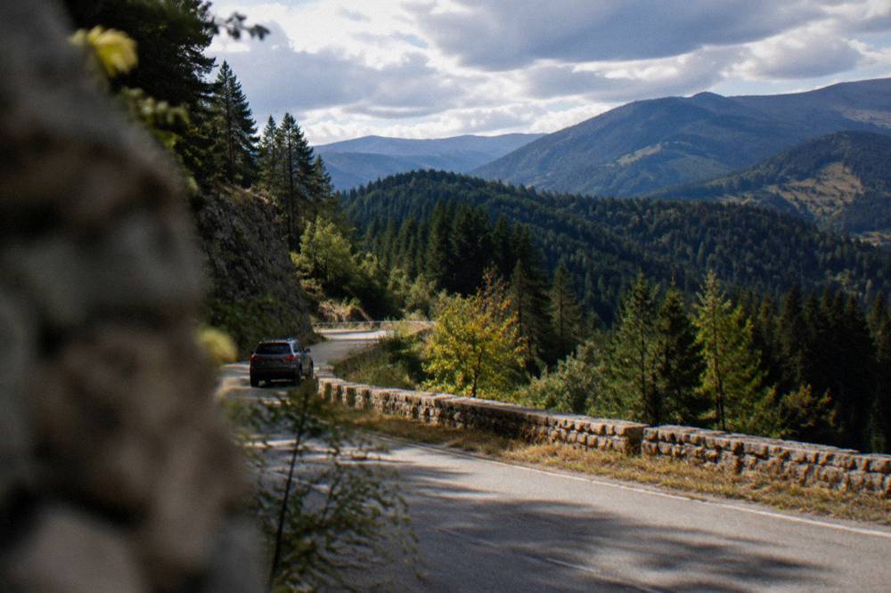 A winding mountain road climbing through pine forest in the Rhodopes