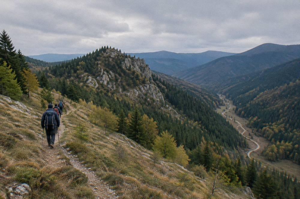 Hikers with backpacks walking a forest trail toward a rocky ridge