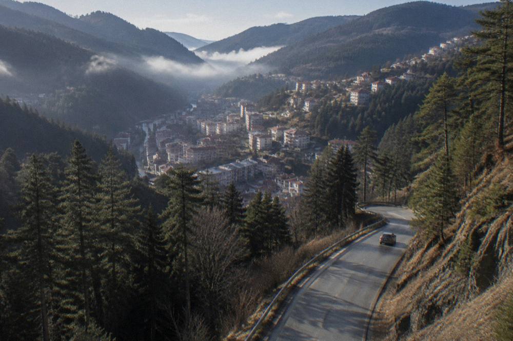 A mountain road winding through dense pine forest in the Rhodopes
