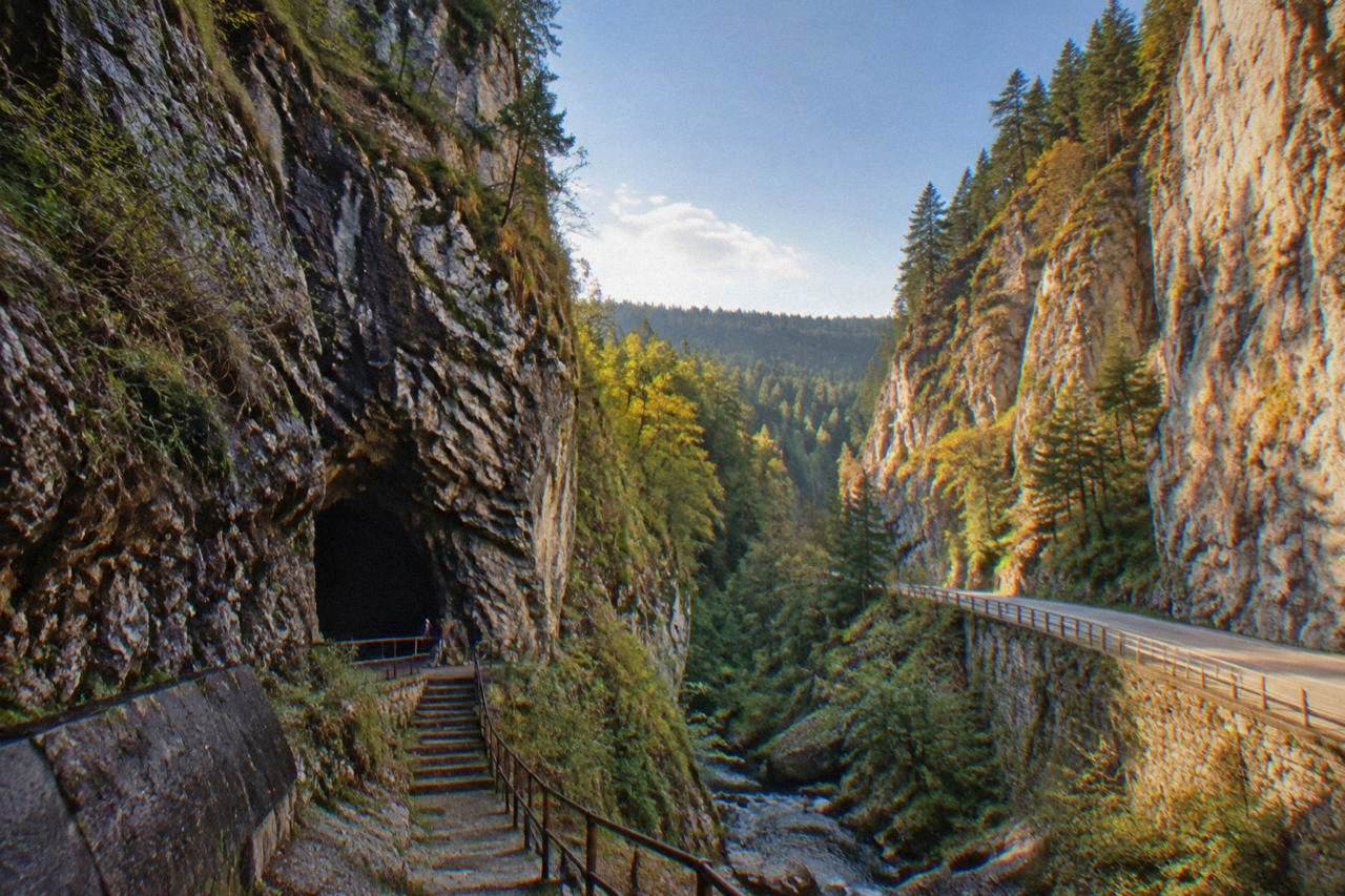 Tall limestone cliffs of Trigrad Gorge rising above a narrow road with a river running through it