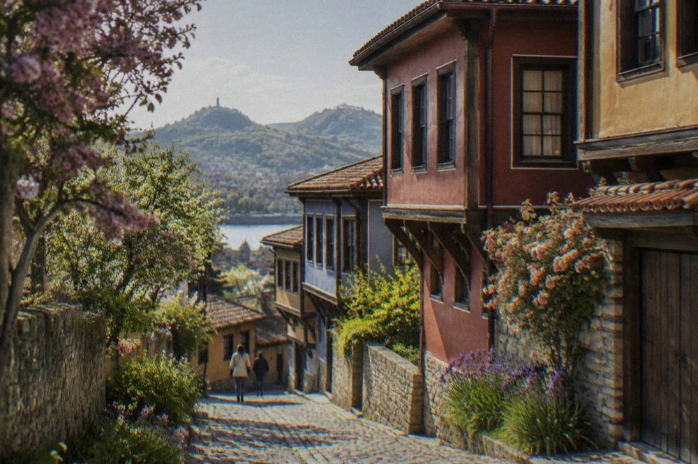 Spring flowers along a cobbled lane in Plovdiv Old Town