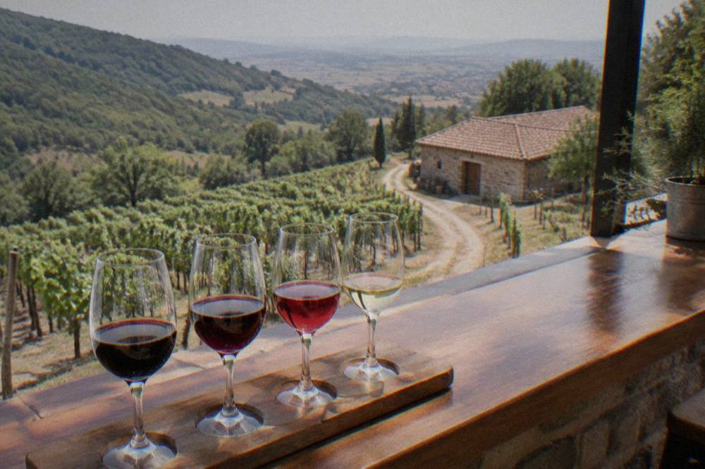 A tasting flight of three red wines and one white on a bar counter